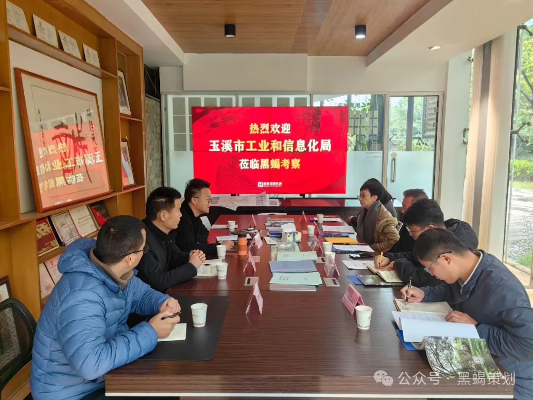玉溪市工业和信息化局莅临黑蝎洽谈年产20万吨绿色甲醇及应用开发建设项目